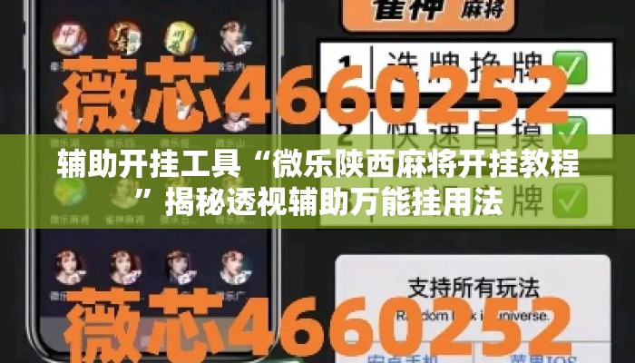辅助开挂工具“微乐陕西麻将开挂教程”揭秘透视辅助万能挂用法