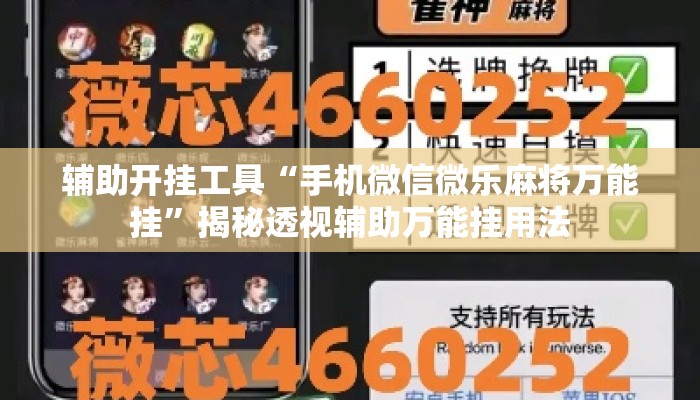 辅助开挂工具“手机微信微乐麻将万能挂	”揭秘透视辅助万能挂用法