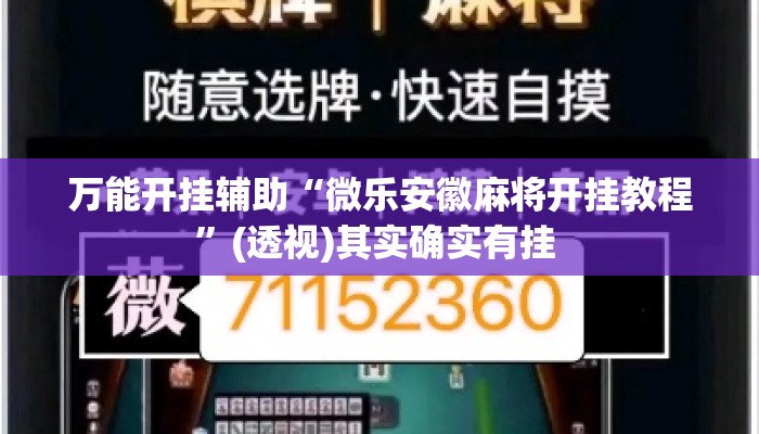 盘点一款“美猴王大厅有没有挂	”详细分享装挂步骤教程