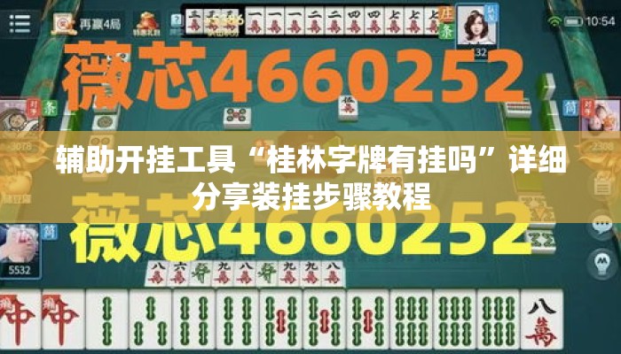 辅助开挂工具“桂林字牌有挂吗”详细分享装挂步骤教程