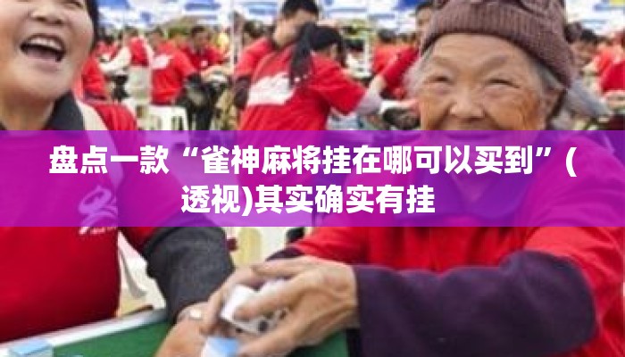 盘点一款“雀神麻将挂在哪可以买到”(透视)其实确实有挂 