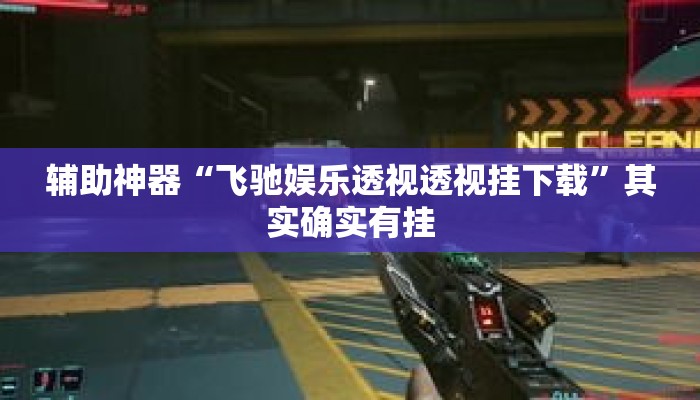 辅助神器“飞驰娱乐透视透视挂下载”其实确实有挂