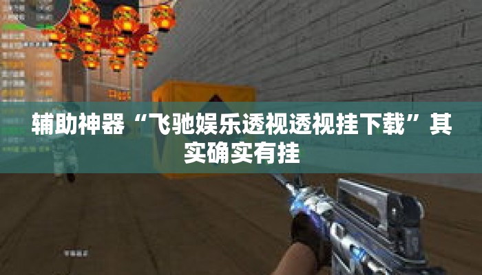 辅助神器“飞驰娱乐透视透视挂下载	”其实确实有挂