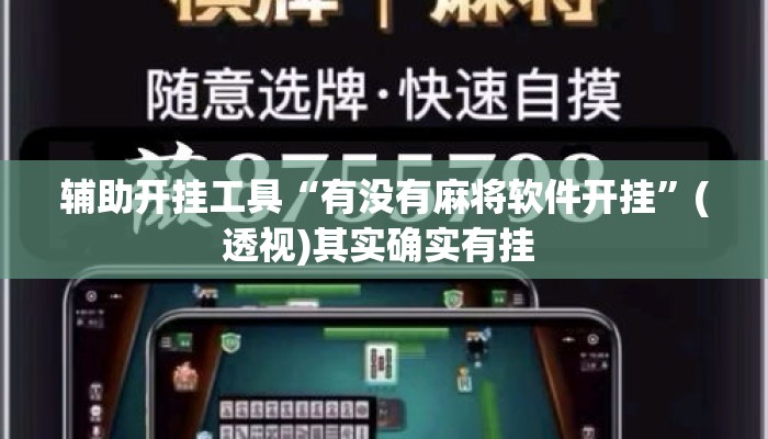 辅助开挂工具“有没有麻将软件开挂”(透视)其实确实有挂 