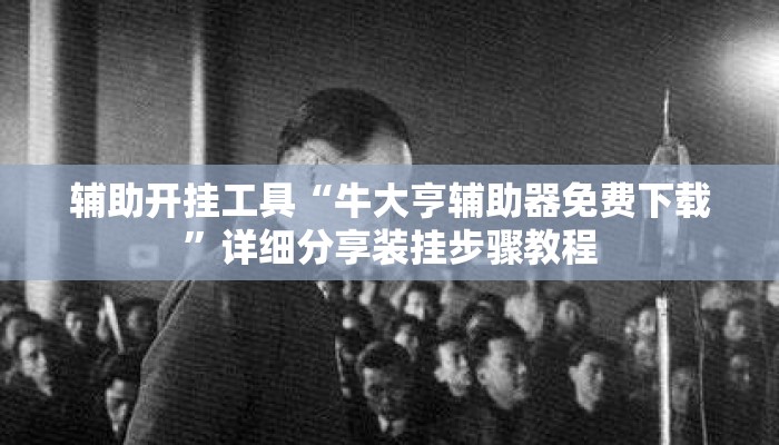 辅助开挂工具“牛大亨辅助器免费下载”详细分享装挂步骤教程