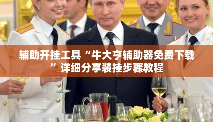 辅助开挂工具“牛大亨辅助器免费下载”详细分享装挂步骤教程