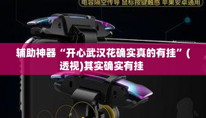 辅助神器“开心武汉花确实真的有挂”(透视)其实确实有挂 
