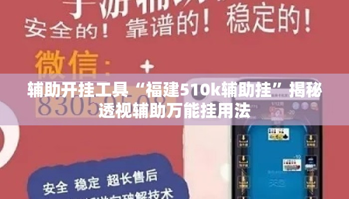 辅助开挂工具“福建510k辅助挂”揭秘透视辅助万能挂用法