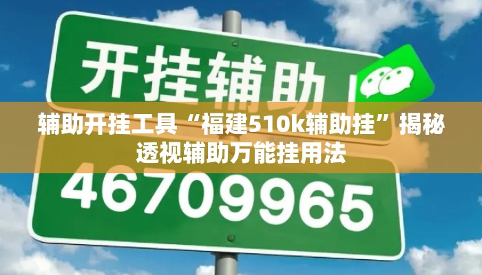 辅助开挂工具“福建510k辅助挂”揭秘透视辅助万能挂用法