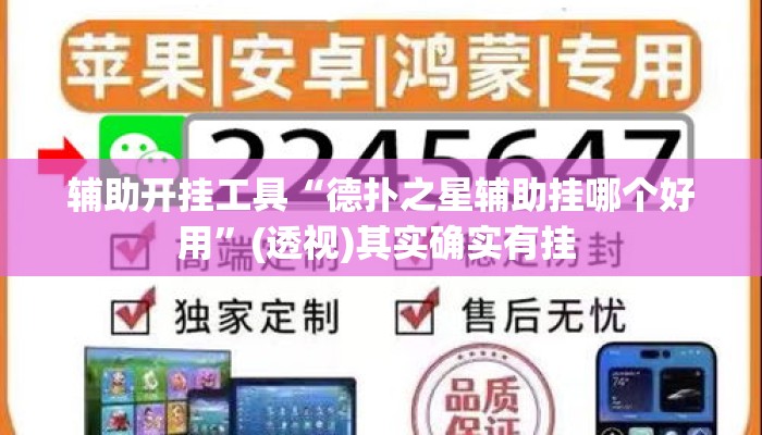 辅助开挂工具“德扑之星辅助挂哪个好用”(透视)其实确实有挂 