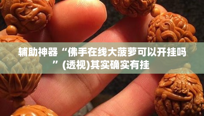 辅助神器“佛手在线大菠萝可以开挂吗”(透视)其实确实有挂 