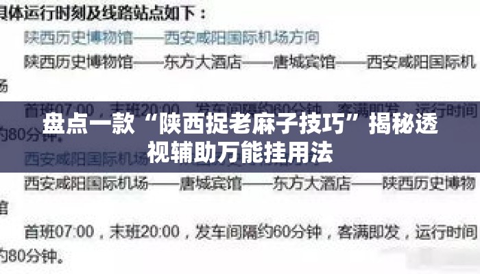 盘点一款“陕西捉老麻子技巧”揭秘透视辅助万能挂用法