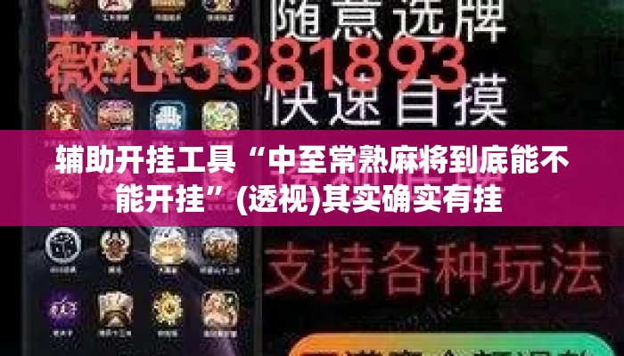 辅助开挂工具“中至常熟麻将到底能不能开挂”(透视)其实确实有挂 