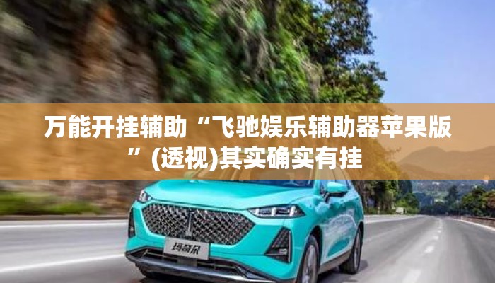 万能开挂辅助“飞驰娱乐辅助器苹果版	”(透视)其实确实有挂 