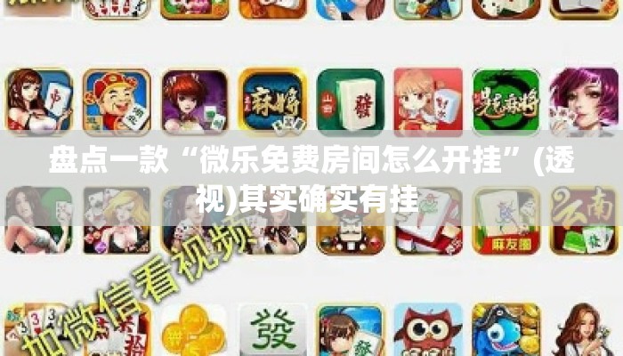 盘点一款“微乐免费房间怎么开挂”(透视)其实确实有挂 