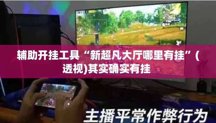 辅助开挂工具“新超凡大厅哪里有挂	”(透视)其实确实有挂 