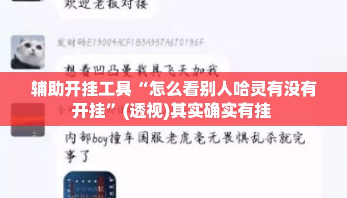 辅助开挂工具“怎么看别人哈灵有没有开挂”(透视)其实确实有挂 