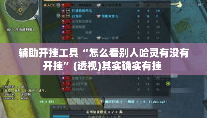 辅助开挂工具“怎么看别人哈灵有没有开挂”(透视)其实确实有挂 