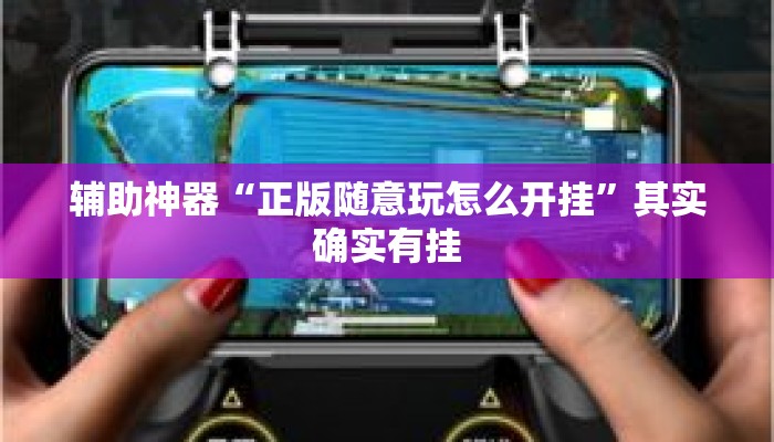 辅助神器“正版随意玩怎么开挂”其实确实有挂