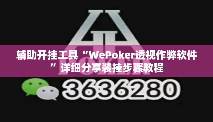 辅助开挂工具“WePoker透视作弊软件	”详细分享装挂步骤教程