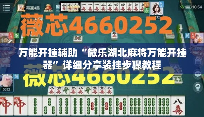 万能开挂辅助“微乐湖北麻将万能开挂器”详细分享装挂步骤教程