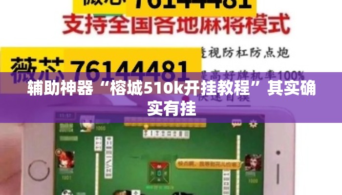 辅助神器“榕城510k开挂教程	”其实确实有挂