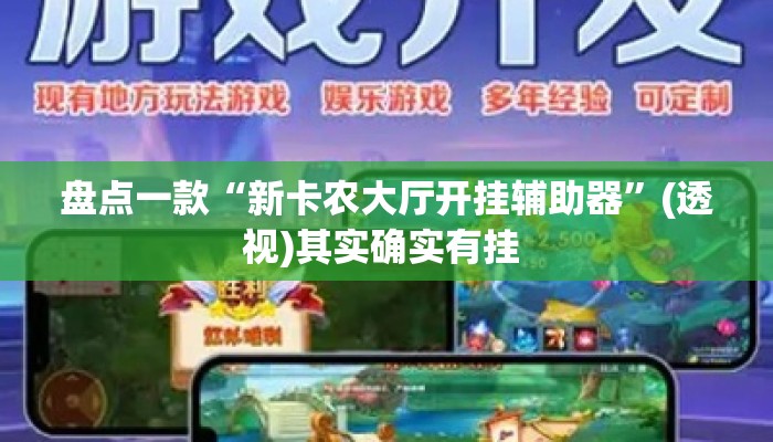 盘点一款“新卡农大厅开挂辅助器	”(透视)其实确实有挂 