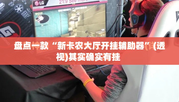 盘点一款“新卡农大厅开挂辅助器”(透视)其实确实有挂 