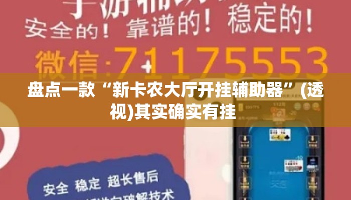 盘点一款“新卡农大厅开挂辅助器”(透视)其实确实有挂 