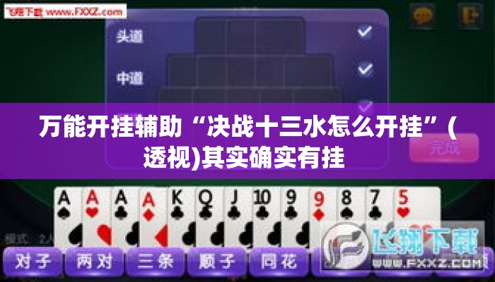 万能开挂辅助“决战十三水怎么开挂”(透视)其实确实有挂 