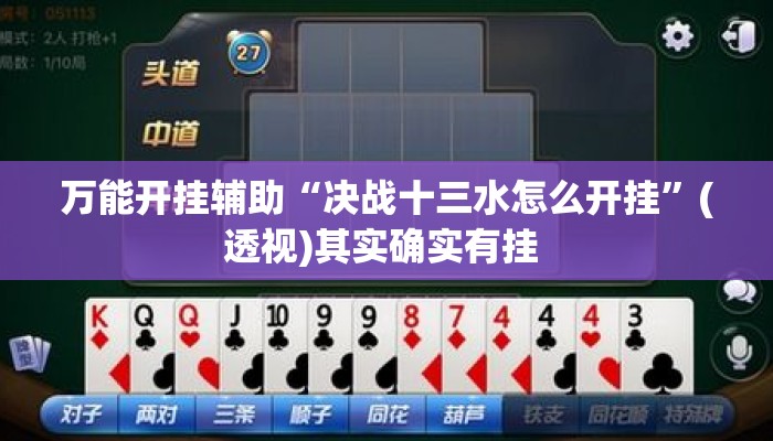 万能开挂辅助“决战十三水怎么开挂”(透视)其实确实有挂 