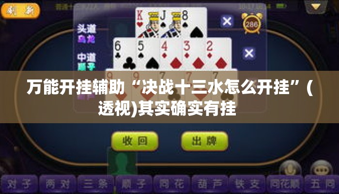 万能开挂辅助“决战十三水怎么开挂”(透视)其实确实有挂 