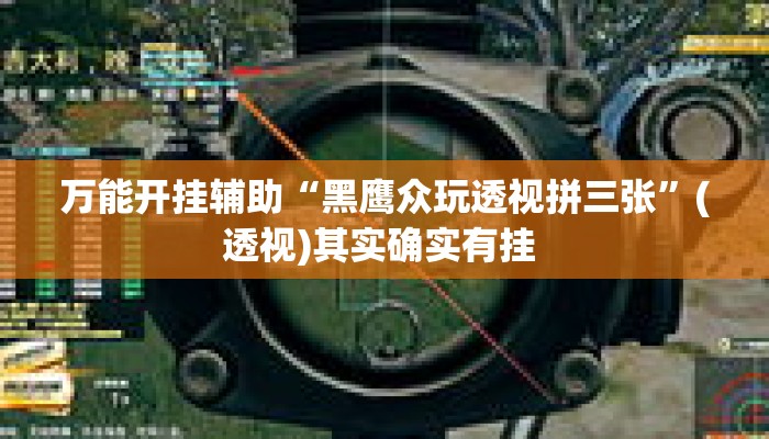万能开挂辅助“黑鹰众玩透视拼三张”(透视)其实确实有挂 