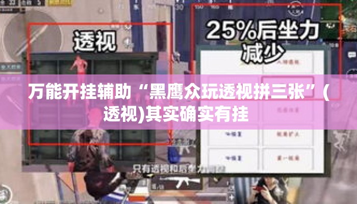 万能开挂辅助“黑鹰众玩透视拼三张”(透视)其实确实有挂 
