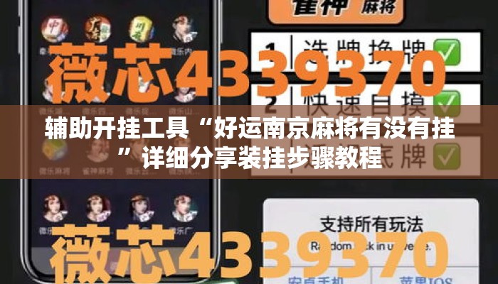 辅助开挂工具“好运南京麻将有没有挂	”详细分享装挂步骤教程