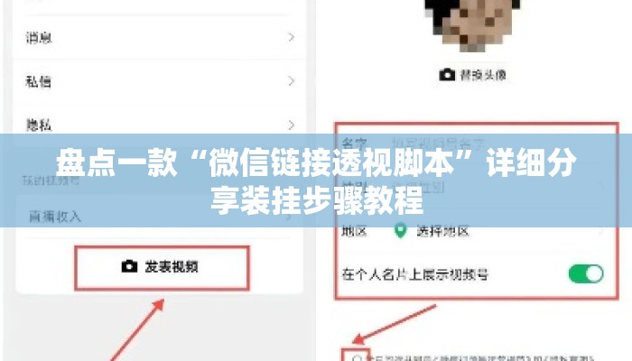 盘点一款“微信链接透视脚本	”详细分享装挂步骤教程