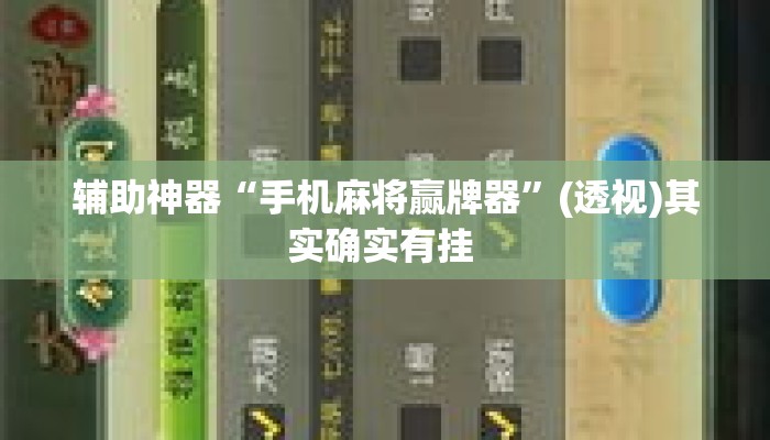 辅助神器“手机麻将赢牌器	”(透视)其实确实有挂 