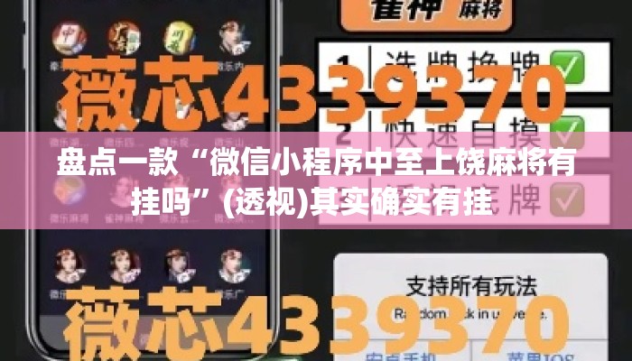 盘点一款“微信小程序中至上饶麻将有挂吗	”(透视)其实确实有挂 