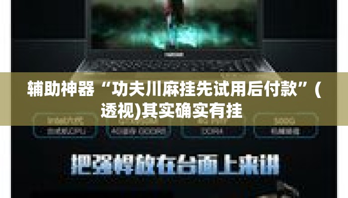 辅助神器“功夫川麻挂先试用后付款	”(透视)其实确实有挂 