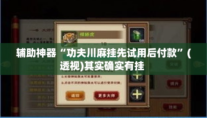 辅助神器“功夫川麻挂先试用后付款”(透视)其实确实有挂 