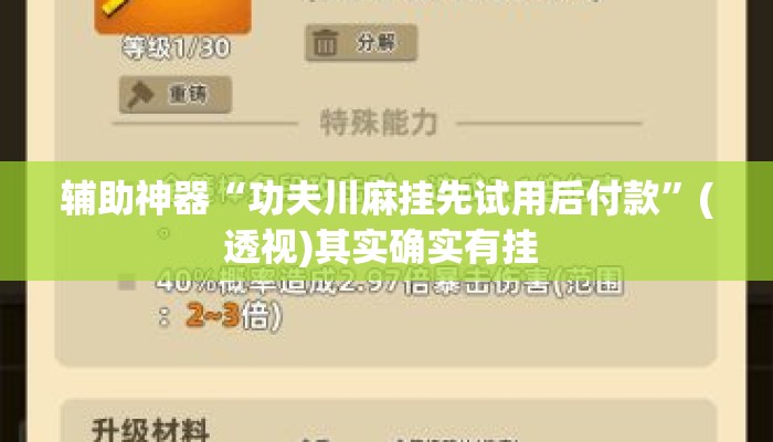 辅助神器“功夫川麻挂先试用后付款”(透视)其实确实有挂 