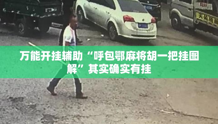 万能开挂辅助“呼包鄂麻将胡一把挂图解	”其实确实有挂