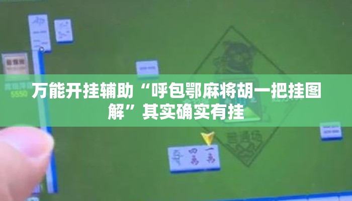 万能开挂辅助“呼包鄂麻将胡一把挂图解”其实确实有挂