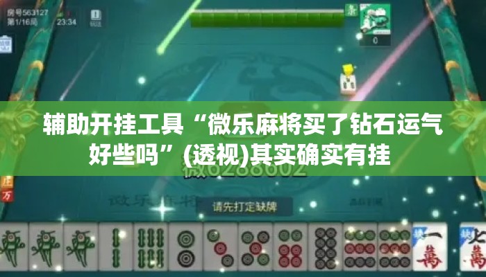 辅助开挂工具“微乐麻将买了钻石运气好些吗	”(透视)其实确实有挂 