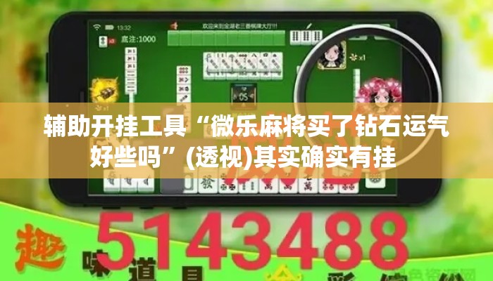 辅助开挂工具“微乐麻将买了钻石运气好些吗”(透视)其实确实有挂 