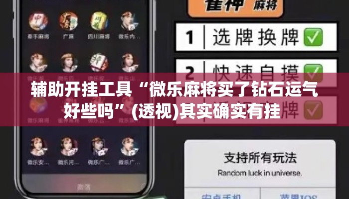 辅助开挂工具“微乐麻将买了钻石运气好些吗”(透视)其实确实有挂 