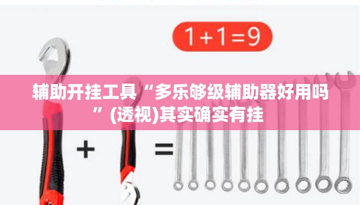 辅助开挂工具“多乐够级辅助器好用吗”(透视)其实确实有挂 