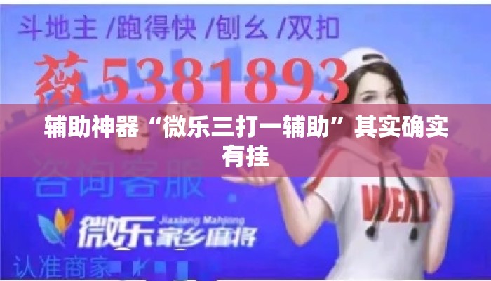 辅助神器“微乐三打一辅助”其实确实有挂