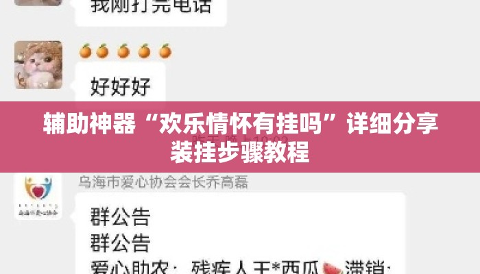 辅助神器“欢乐情怀有挂吗”详细分享装挂步骤教程
