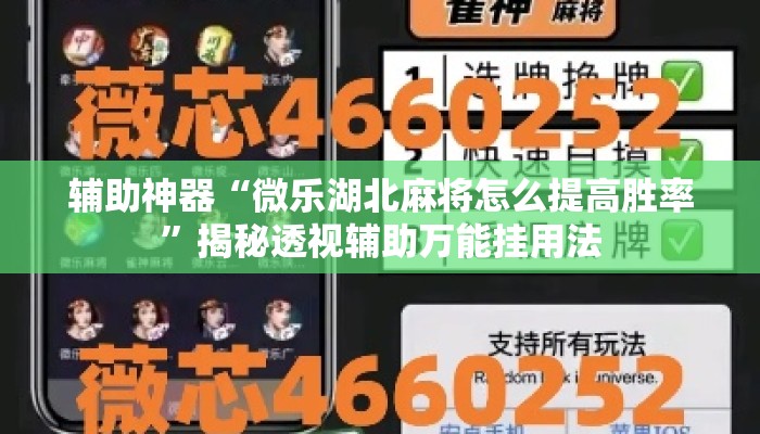 辅助神器“微乐湖北麻将怎么提高胜率”揭秘透视辅助万能挂用法